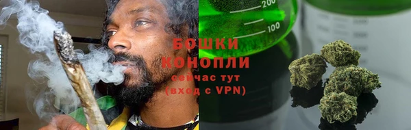 сатива Переславль-Залесский